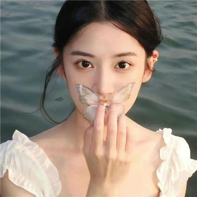 禅在此山中 海报