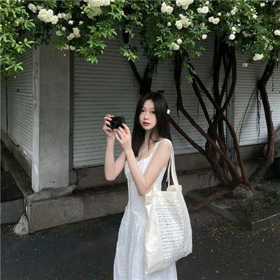 单凤 海报