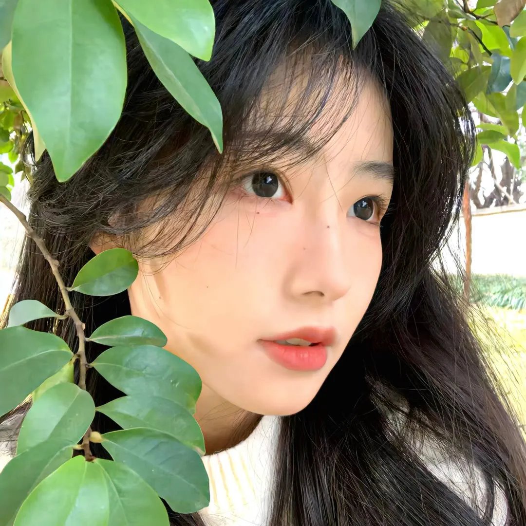 美洲豹女儿 海报